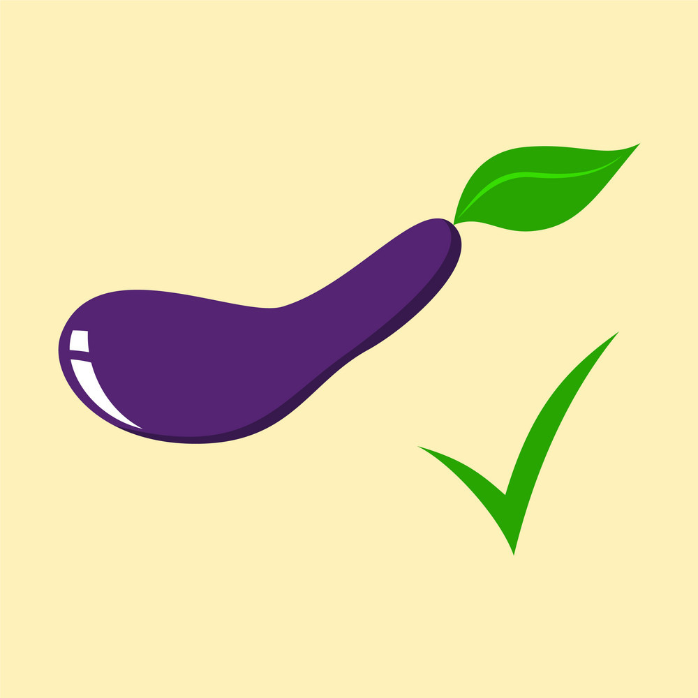 1000x1000 Fresh Eggplant Vegetable Isolated Icon Eggplant Vector