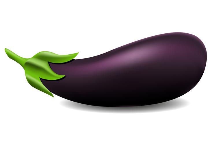 727x490 Eggplant Vector Illustration