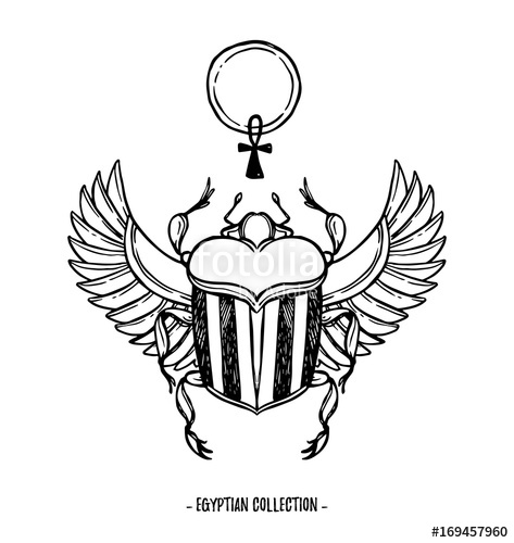 Hand Drawn Vector Illustration 473x500 Hand Drawn Vector Illustration