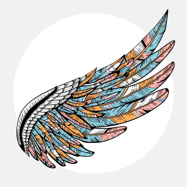 Wings Vectors, Photos And Free Download 626x626 Wings Vectors, Photos And Free Download