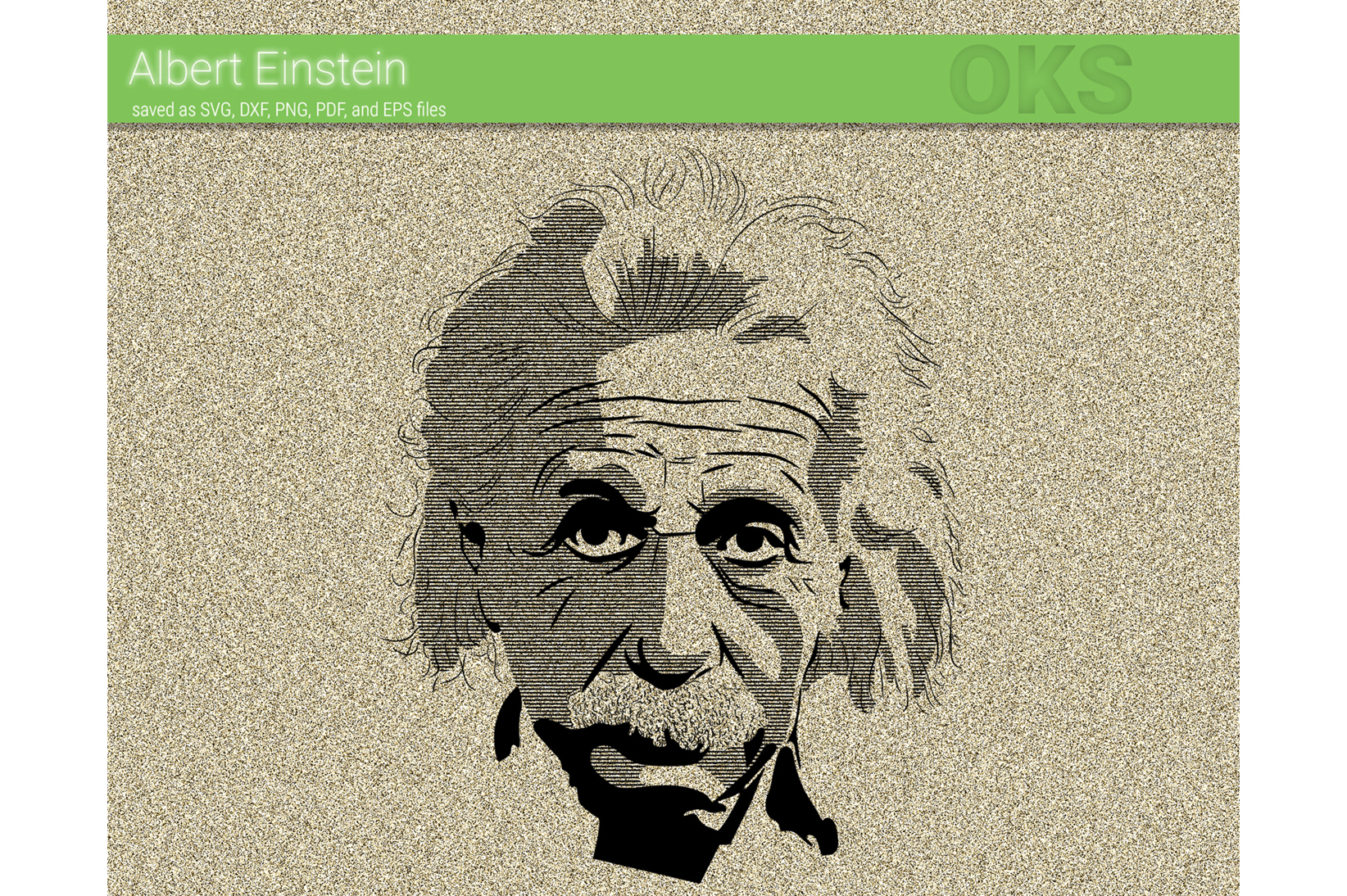 1644x1094 Albert Einste Vector Graphic