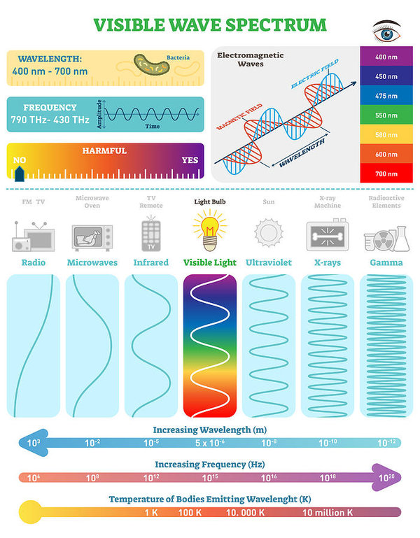 Electromagnetic Waves Visible Wave Spectrum Vector Illustration 600x769 Electromagnetic Waves Visible Wave Spectrum Vector Illustration