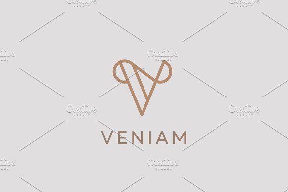 580x386 Elegant Line Curve Vector Logotype Premium Letter V Logo Design