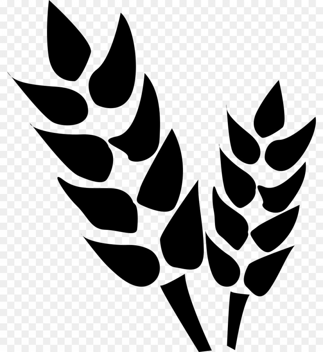 1080x1176 Agriculture Icon Vector Boozeworthy