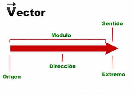 450x316 Son Los Tipos De Vectores Respuestas Tips