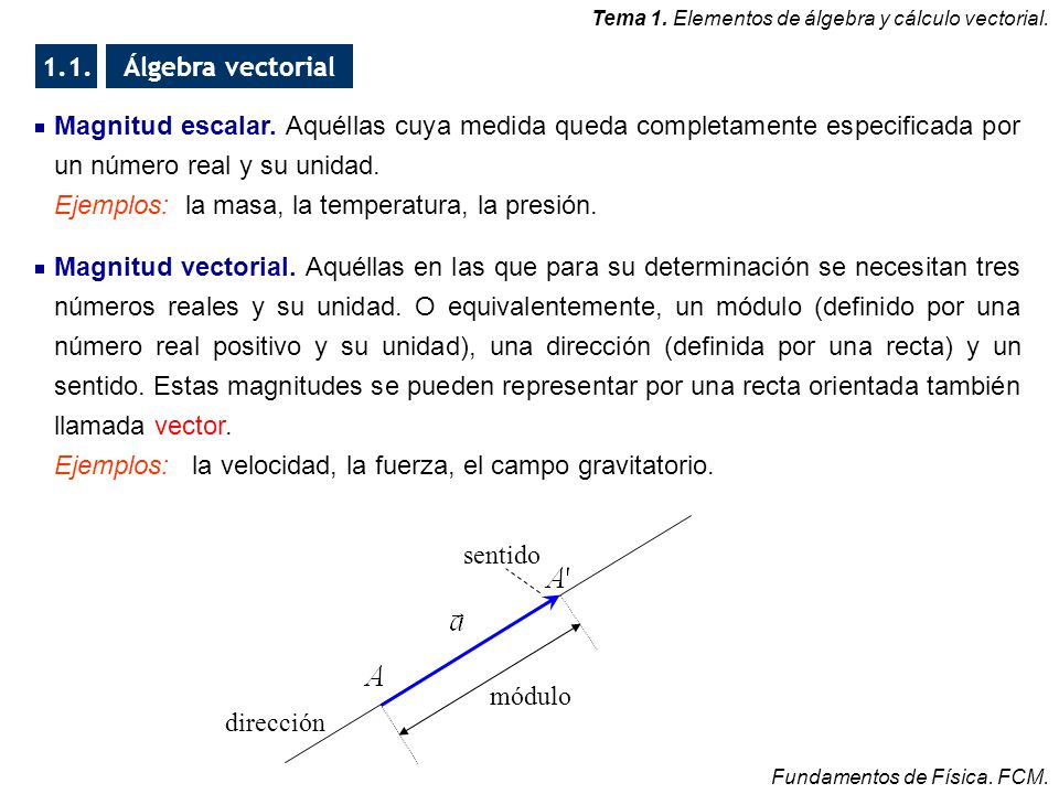 960x720 Elementos De Y Vectorial