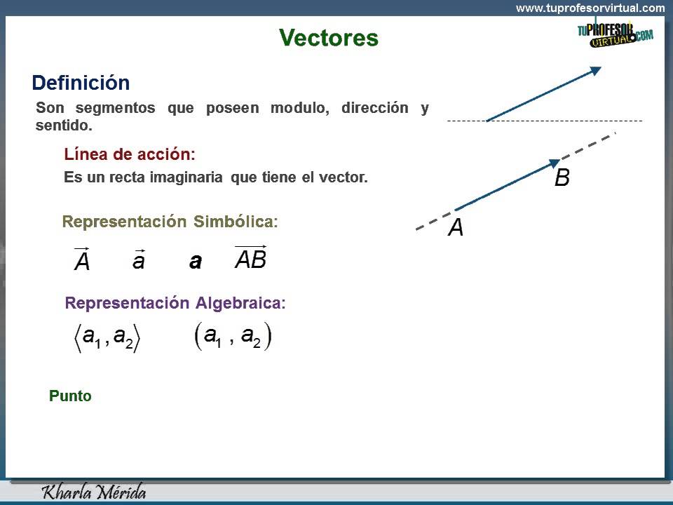 Elementos De Un Vector At Vectorified.com | Collection Of Elementos De ...