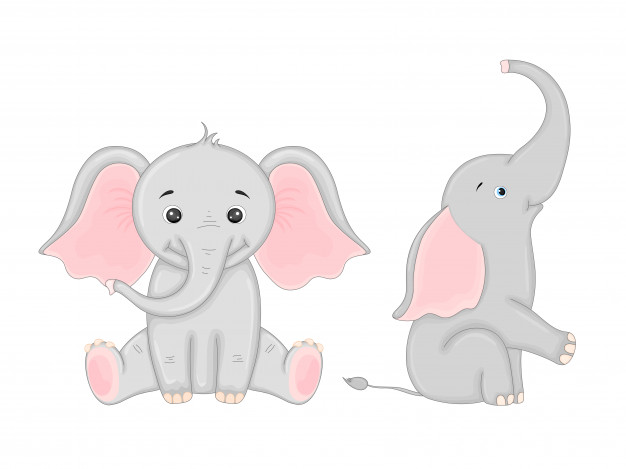 626x469 Elephant Vectors, Photos And Free Download