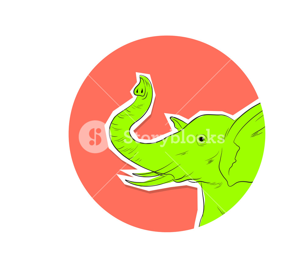 1000x911 Elephant Face With Raising Trunk Vector Royalty Free Stock Image