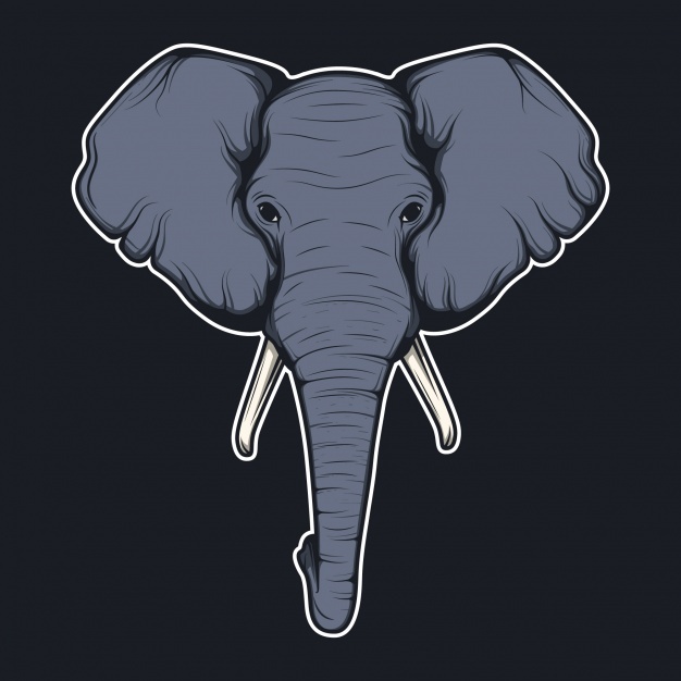 626x626 Elephant Head Vectors, Photos And Free Download