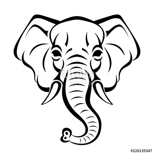 Elephant Face Vector at Vectorified.com | Collection of Elephant Face ...