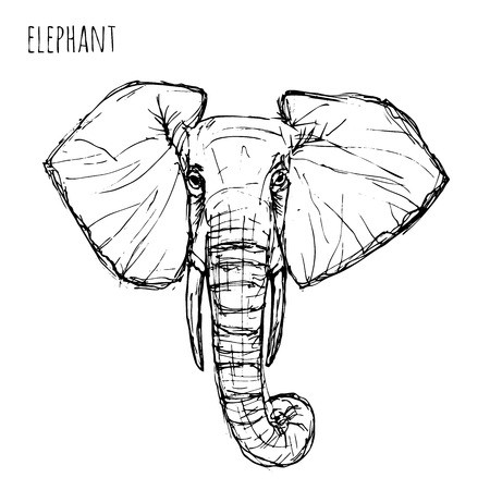 450x450 Wild Animal Black And White Elephant Face Drawn Pen And Ink