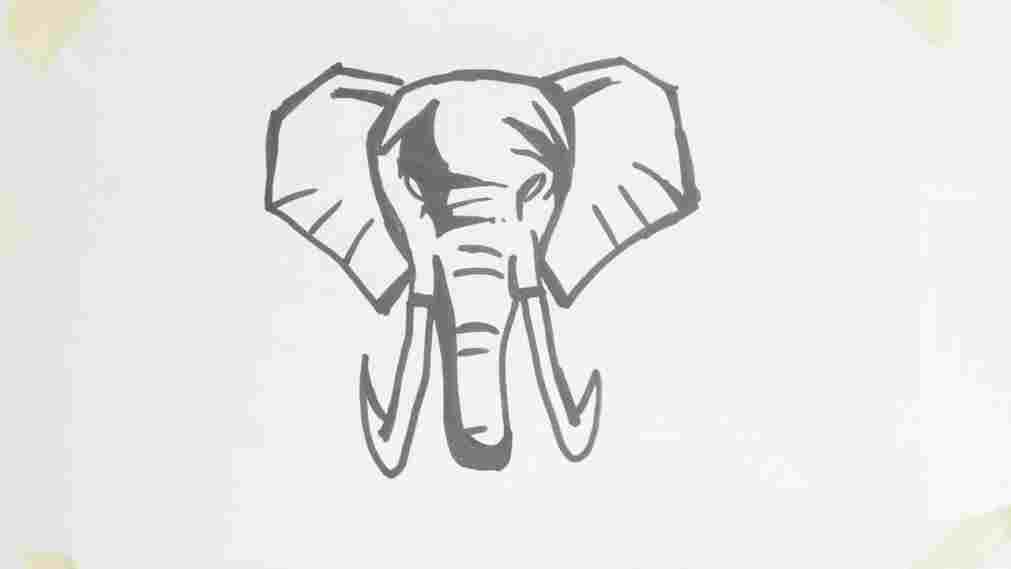 1011x569 Elephant Face Drawing Vector Pencil Step Free Books Download