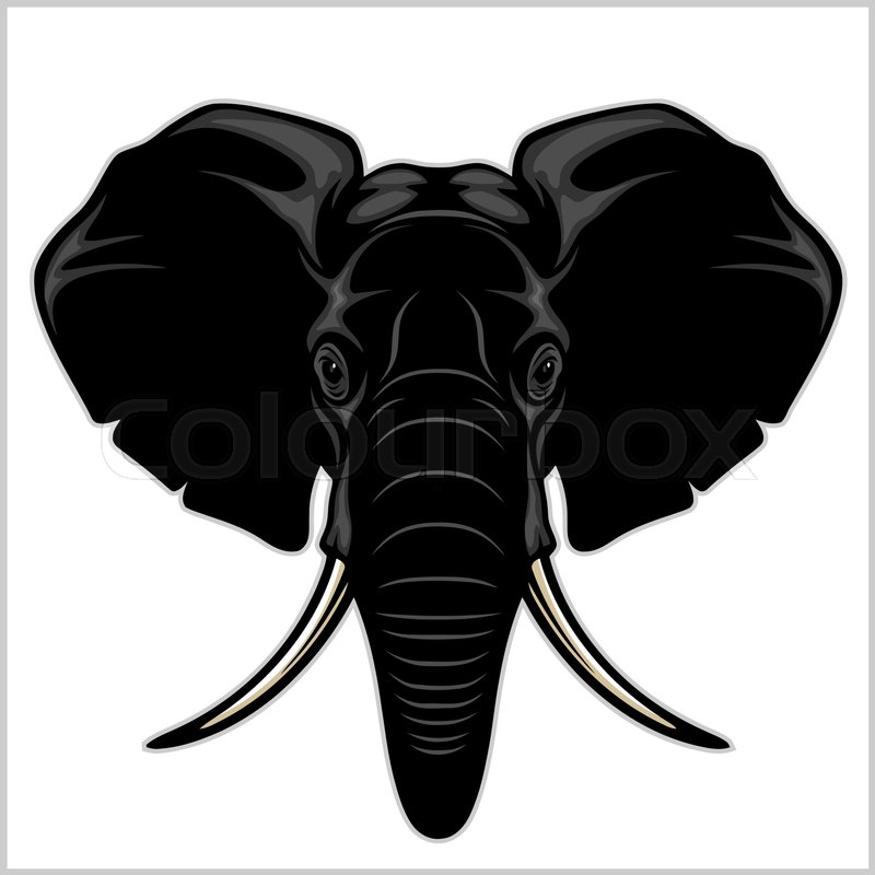 800x800 Elephant Head