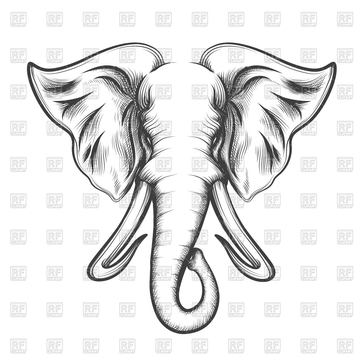 1200x1200 Elephant Head Drawn Vector Image Of Silhouettes, Outlines