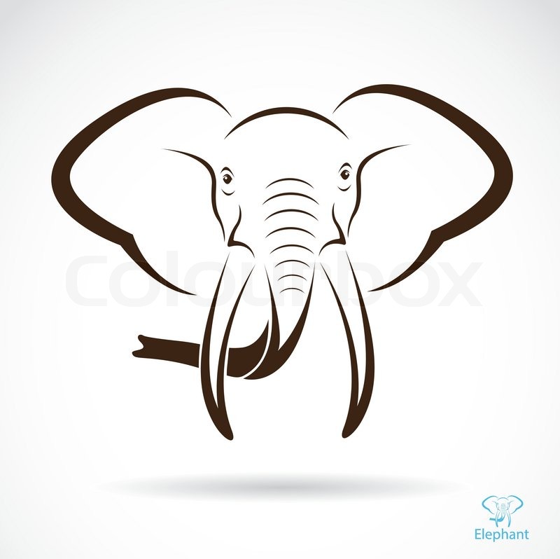 800x798 Vector Image Of An Elephant Head Stock Vector Colourbox