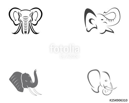 500x400 Elephant Icon Vector Illustration Stock Image And Royalty Free