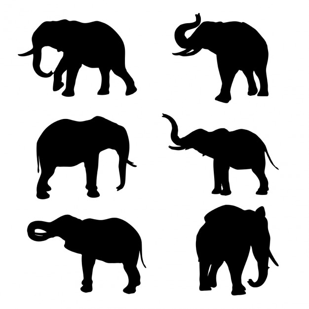 626x626 Elephant Silhouette Collection Vector Free Download