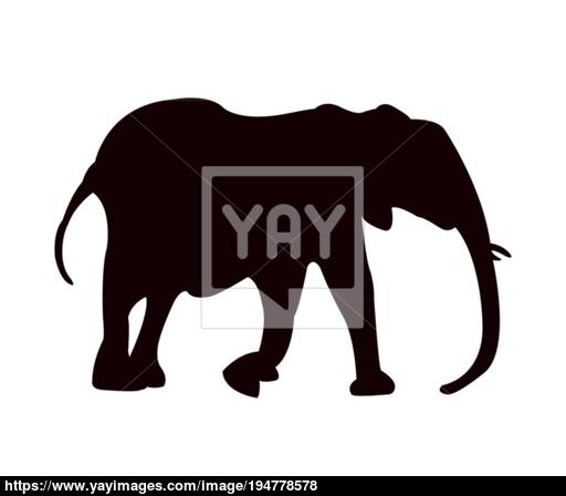 512x448 Elephant Icon Vector