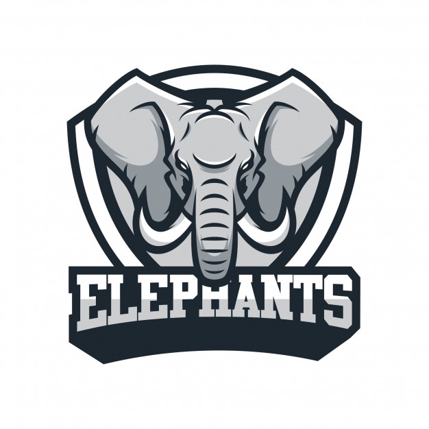 626x626 Elephant Animal Sport Mascot Head Logo Vector Vector Premium