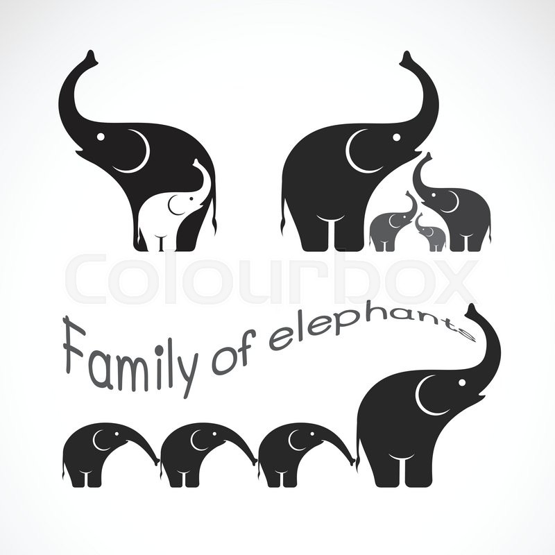 800x800 Vector Image Of Family Elephants On Stock Vector Colourbox