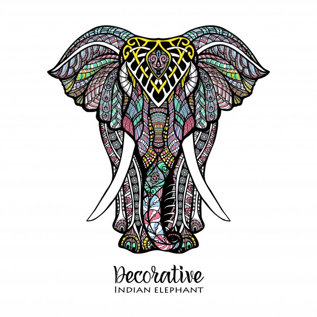 626x626 Elephant Vectors, Photos And Free Download