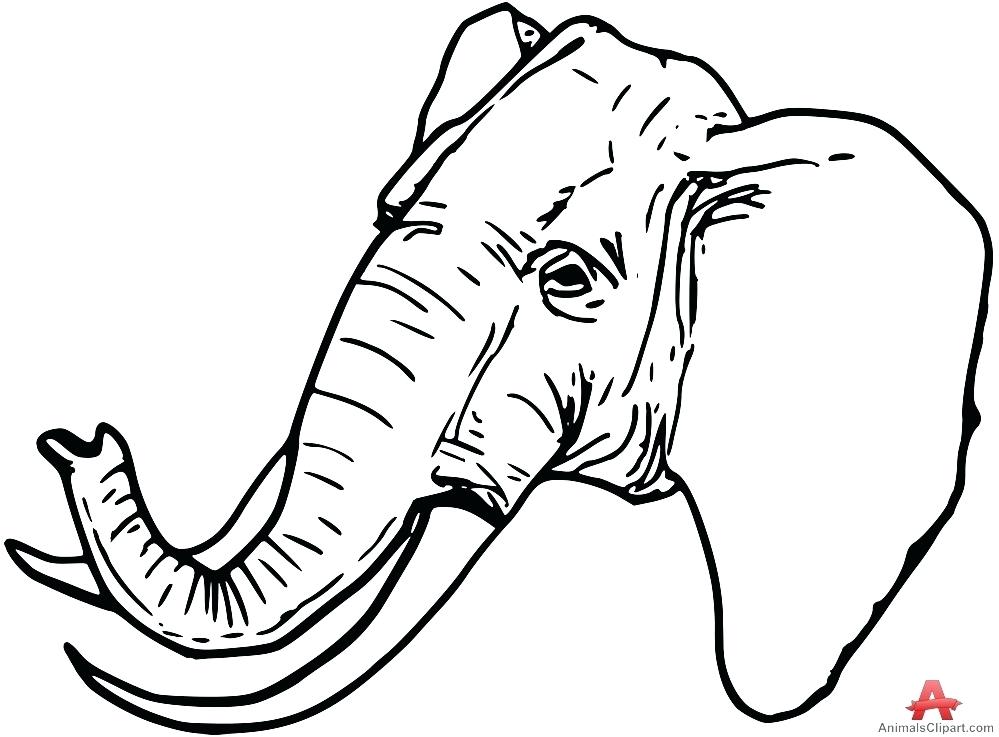 elephant face outline