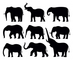 242x200 Elephant Outline Free Vector Graphic Art Free Download