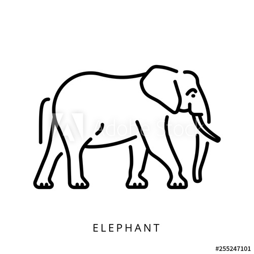500x500 Elephant Outline Logo Minimalistic Logo, Simple Vector