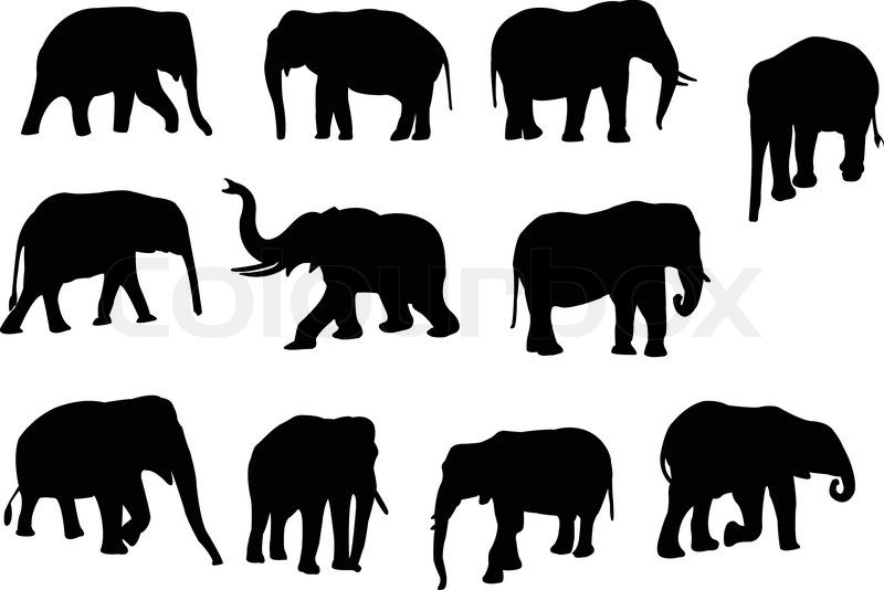 elephant outline svg