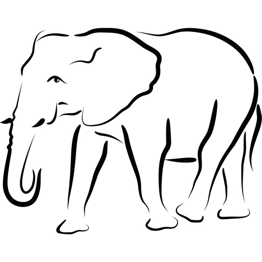 878x878 Outline Of Elephant