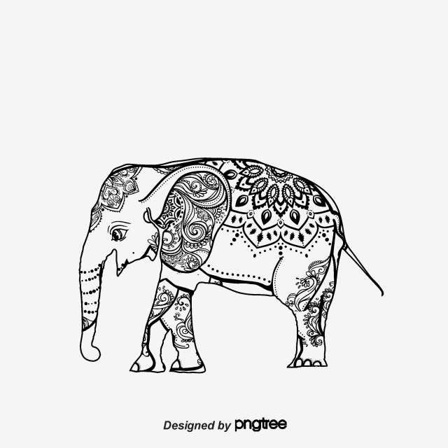 640x640 Elephant Vector, Graphic Resources For Free Download