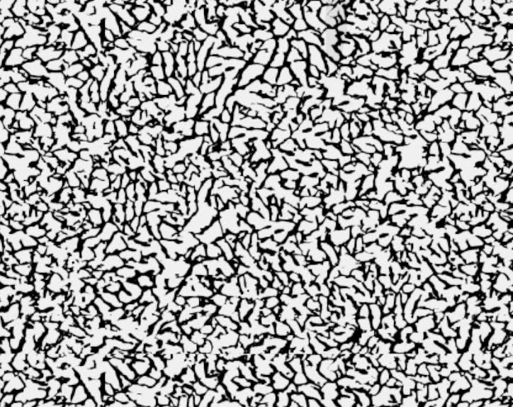 724x574 Elephant Print Vinyl Wrap