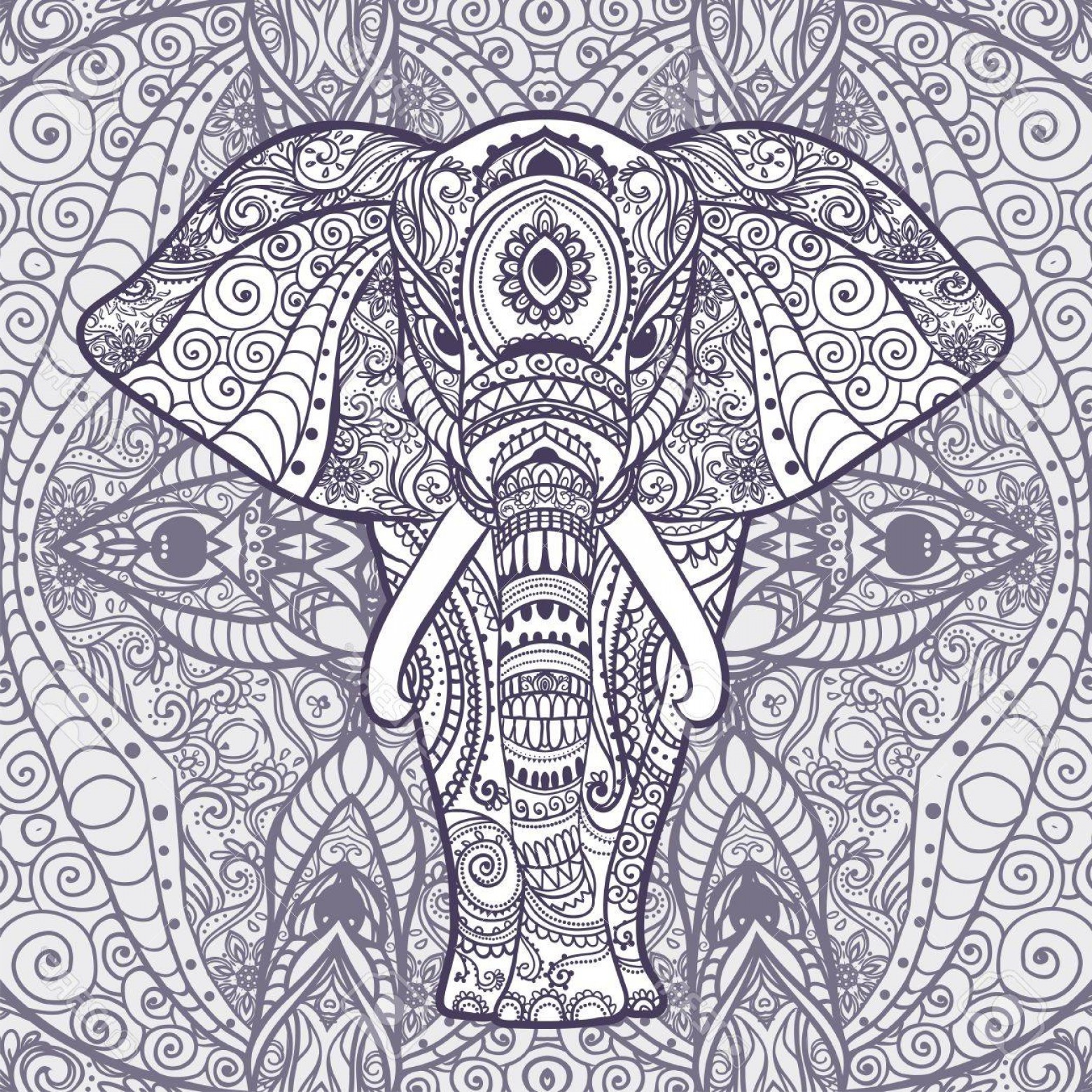 1560x1560 Photostock Vector Greeting Beautiful Card With Elephant Frame