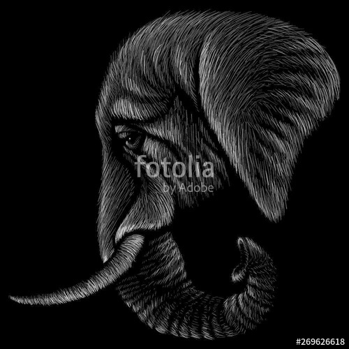 500x500 The Vector Elephant For Tattoo Or T Shirt Design Or Outwear Cute