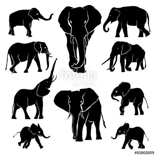 Elephant Silhouette Pack Stock Image And Royalty Free Vector 500x500 Elephant Silhouette Pack Stock Image And Royalty Free Vector
