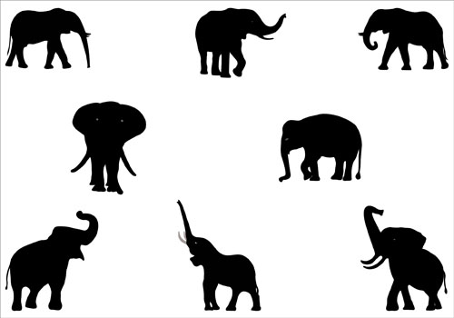 Elephant Silhouette Vector Graphicssilhouette Clip Art 500x350 Elephant Silhouette Vector Graphicssilhouette Clip Art