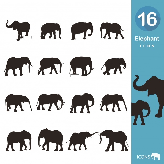 Elephant Vectors, Photos And Free Download 626x626 Elephant Vectors, Photos And Free Download