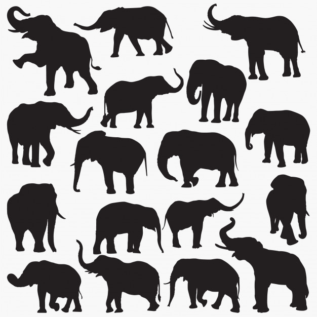 Elephant Silhouettes Vector Premium Download 626x626 Elephant Silhouettes Vector Premium Download