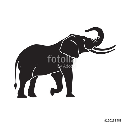 Elephant Silhouette Stock Image And Royalty Free Vector 500x500 Elephant Silhouette Stock Image And Royalty Free Vector