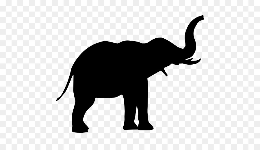 Elephant Silhouette 900x520 Elephant Silhouette