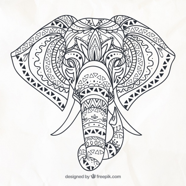 Elephant Vectors, Photos And Free Download 626x626 Elephant Vectors, Photos And Free Download
