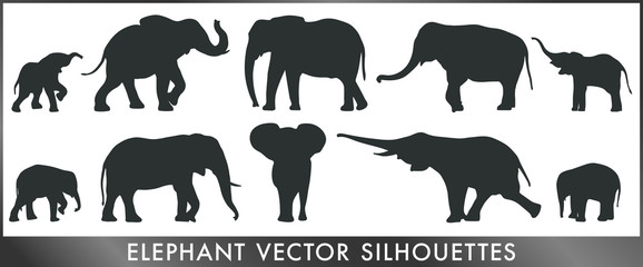 578x240 Elephant Vector Photos, Royalty Free Images, Graphics, Vectors