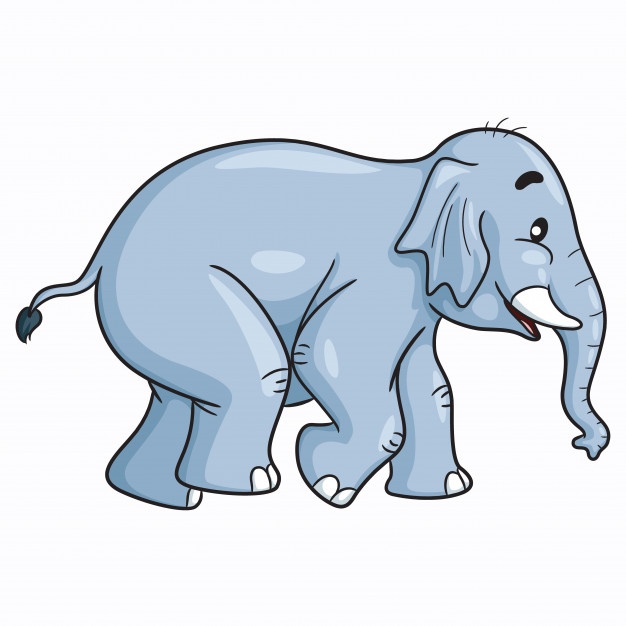 626x626 Elephant Vectors, Photos And Free Download