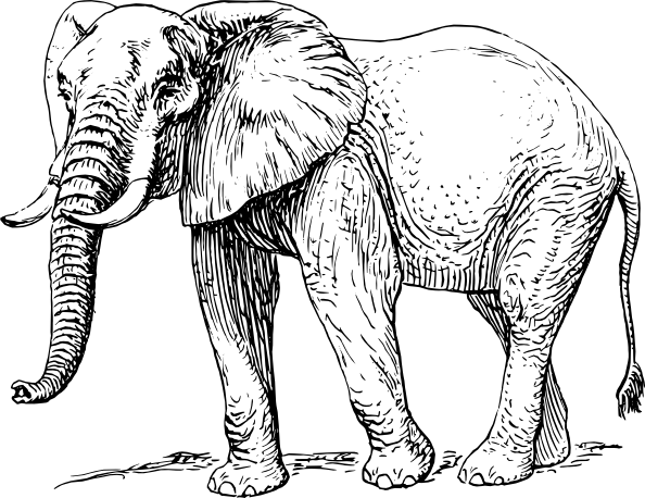 594x458 Elephant Clip Art