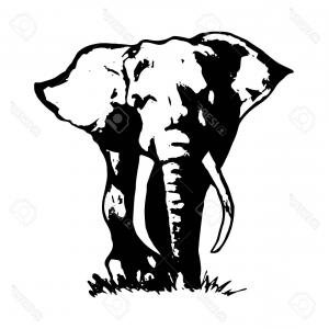 300x300 Photostock Vector Graphic Image Of An Elephant On A White
