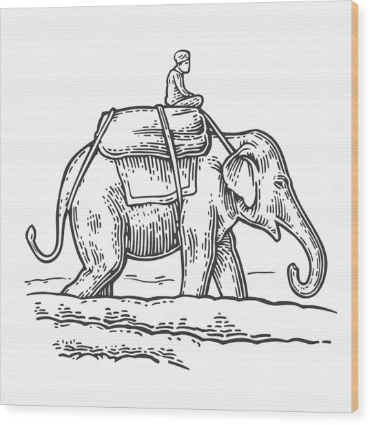 537x618 Rider On Elephant Vector Engraved Vintage Drawing