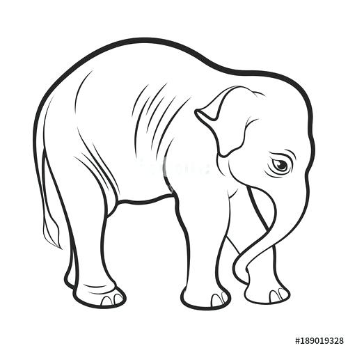 500x500 Elephant Drawing Outline Black Outline Baby Elephant Vector