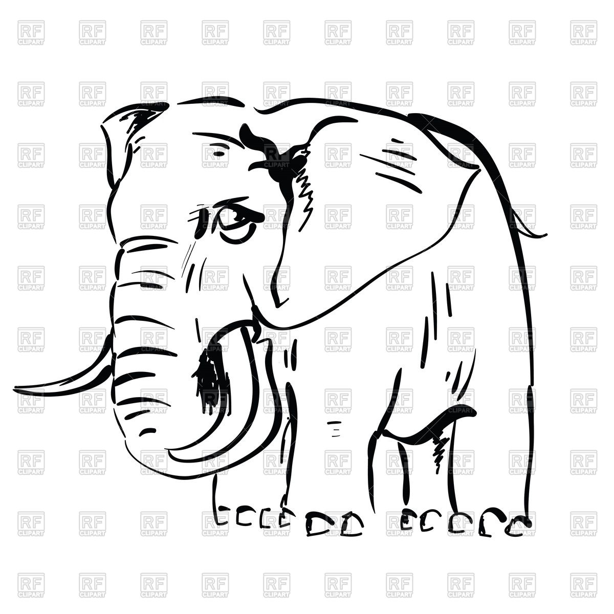 1200x1200 Outlines Of Elephant Vector Image Of Plants And Animals
