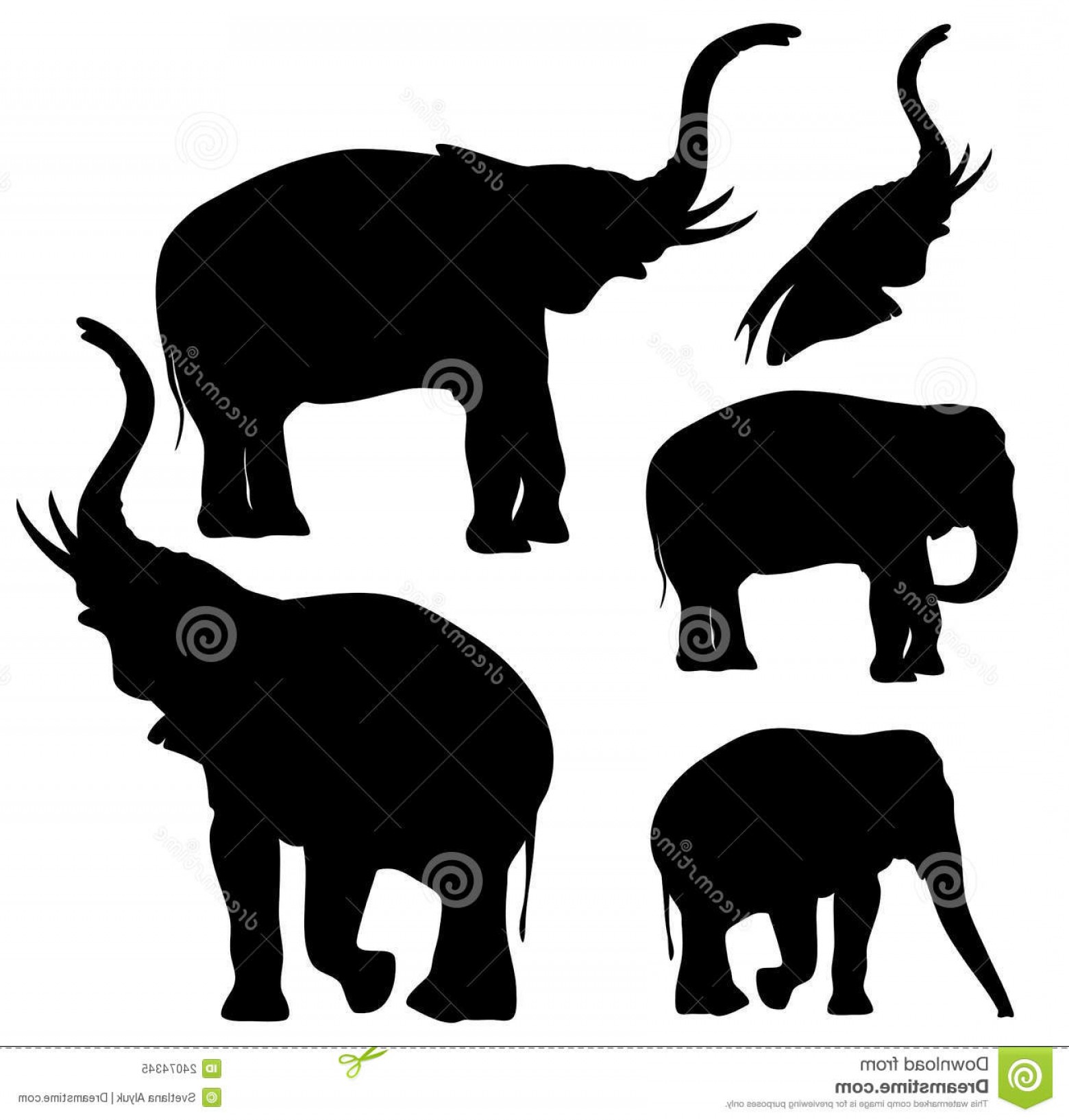 1560x1634 Royalty Free Stock Photo Elephants Vector Image Soidergi